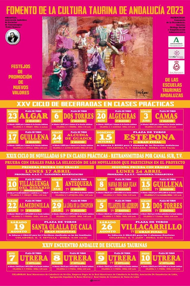NOVILLADA EN VILLALUENGA DEL ROSARIO