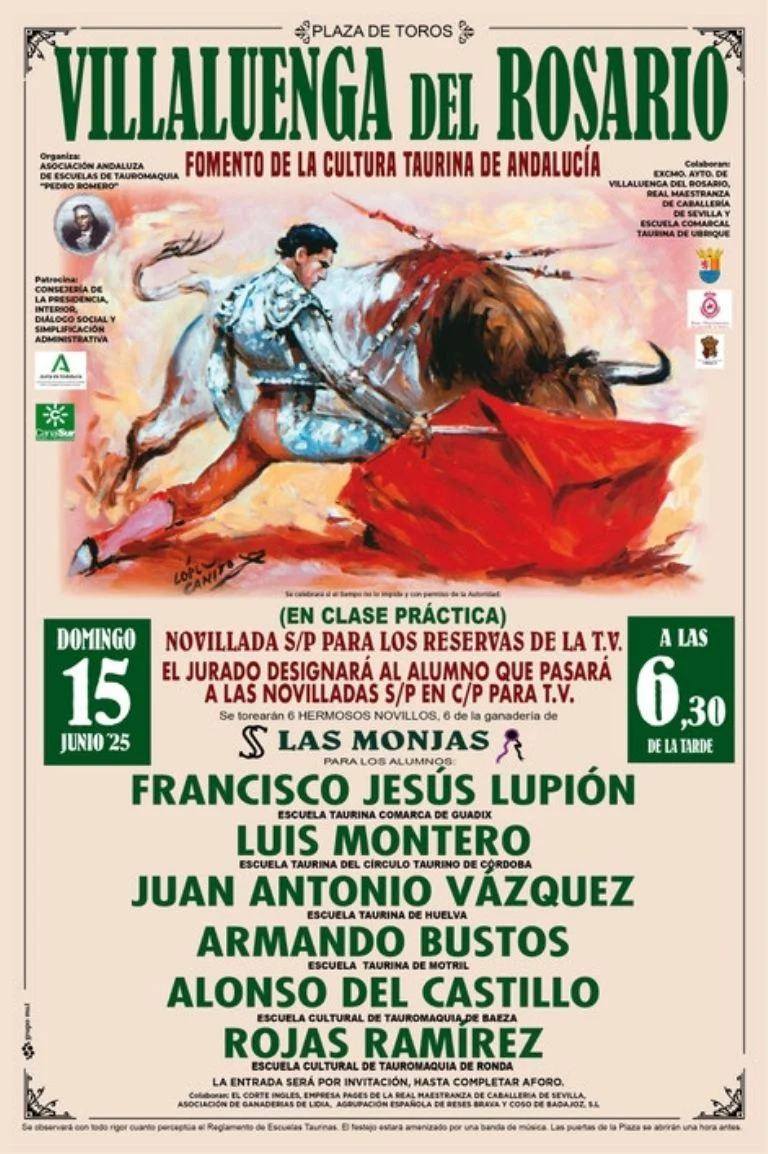 NOVILLADA 15 DE JUNIO EN VILLALUENGA DEL ROSARIO