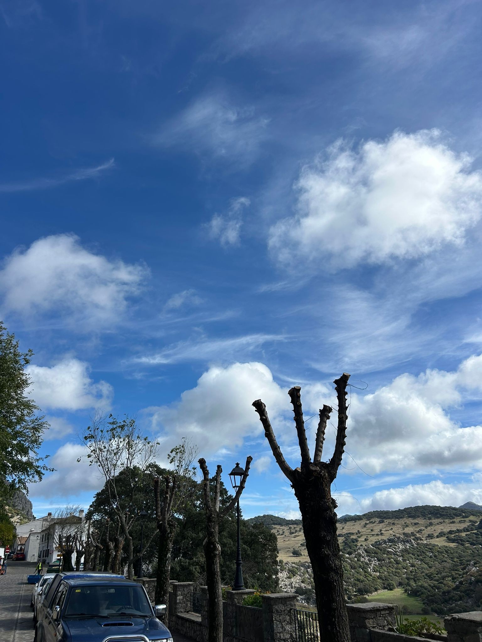 PODA DE ÁRBOLES EN VILLALUENGA