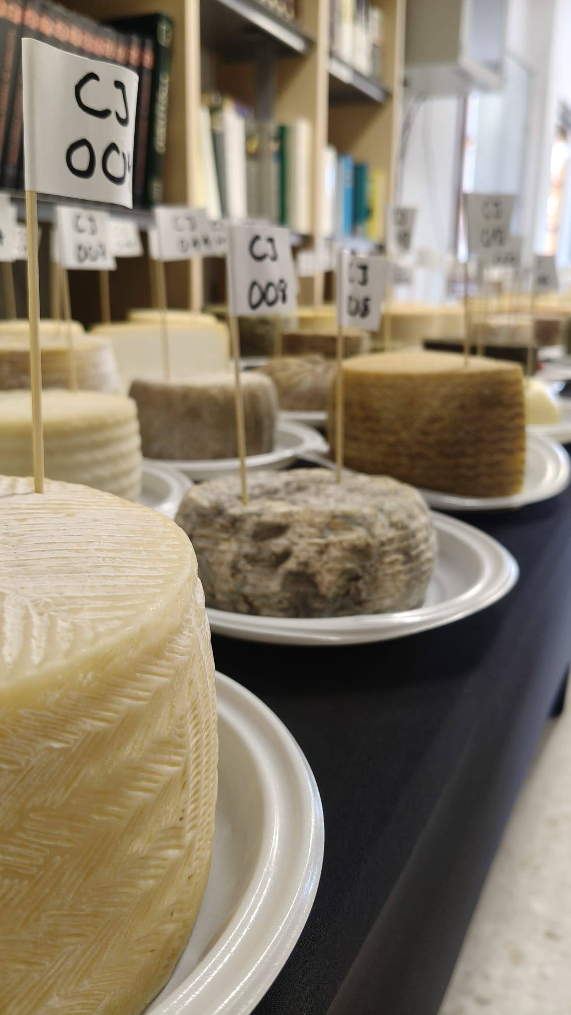 COMIENZA EL XVII CONCURSO DEL QUESO DE ANDALUCÍA 2026 EN VILLALUENGA DEL ROSARIO