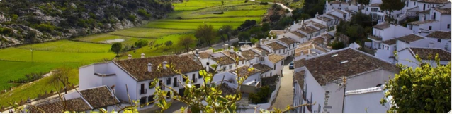 PLAN BÁSICO DE ORDENACIÓN MUNICIPAL DE VILLALUENGA DEL ROSARIO: ENCUESTA